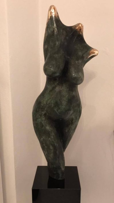 Torso
