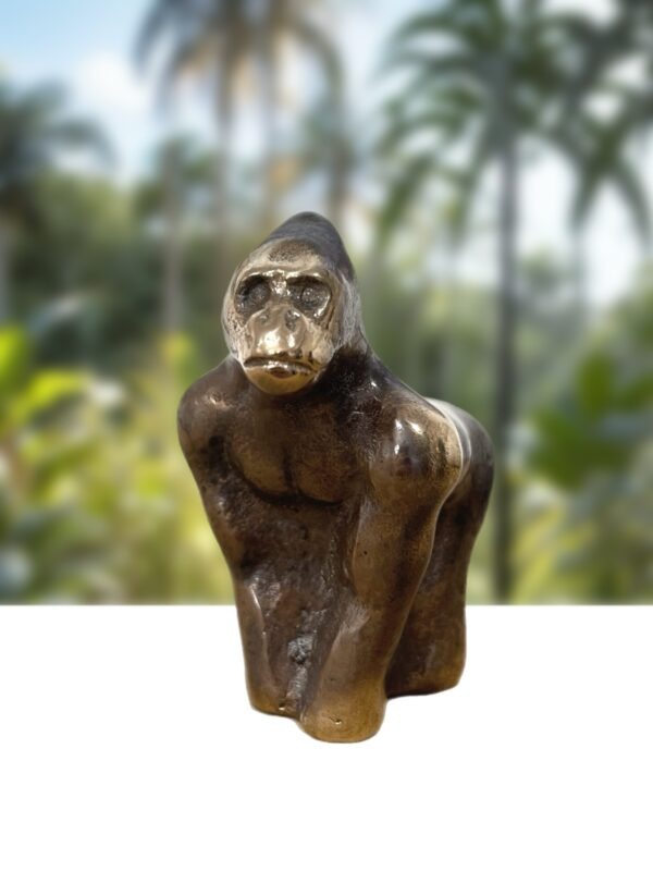 Gorilla - silverback