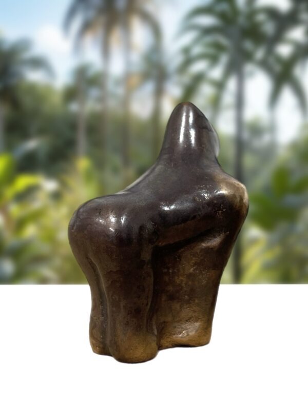 Gorilla - silverback - Image 2