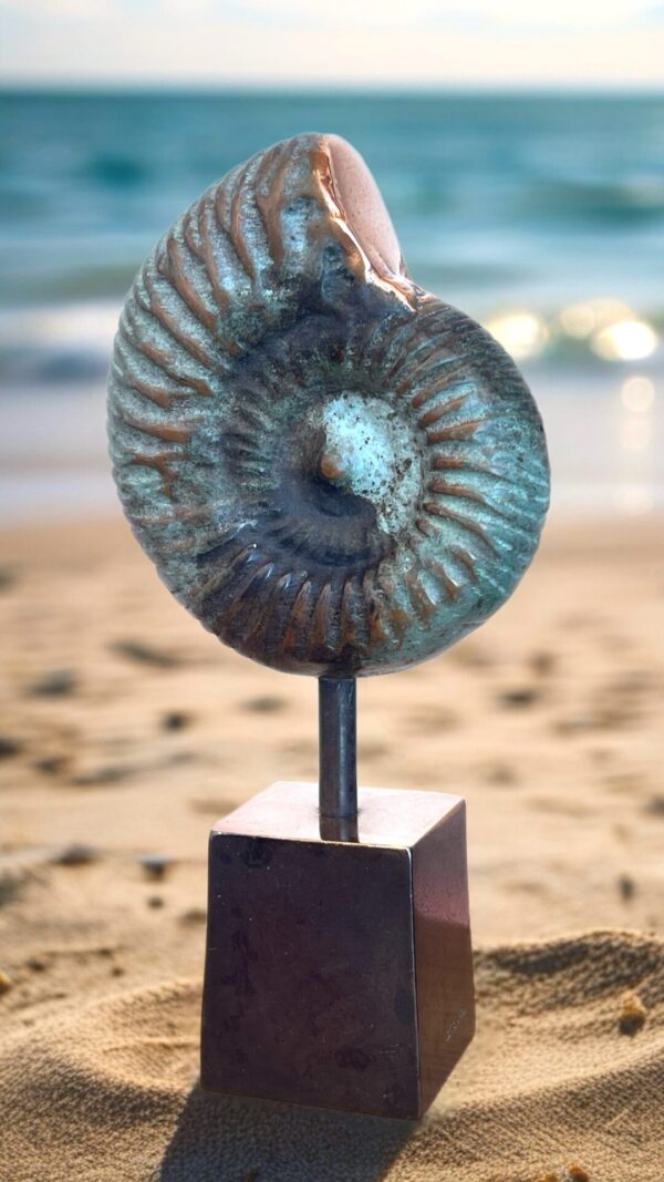 SEA-ART Nautilus
