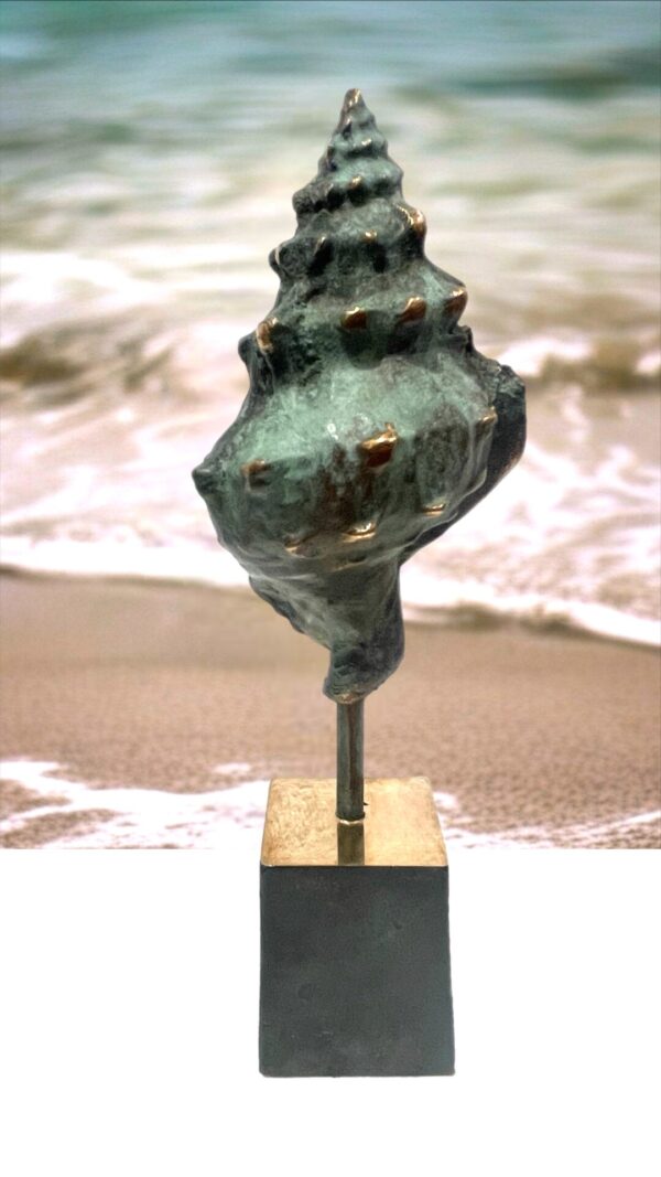 SEA-ART Konkylie - Billede 2