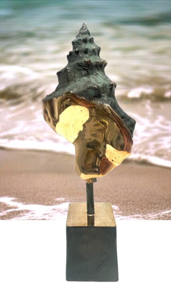 SEA-ART Konkylie