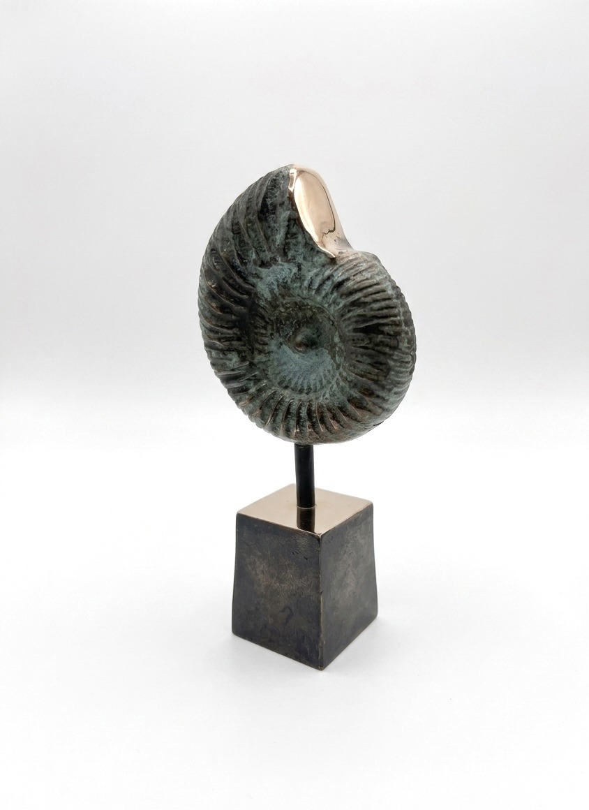 SEA-ART Nautilus - Billede 2