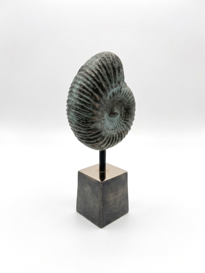 SEA-ART Nautilus - Billede 3