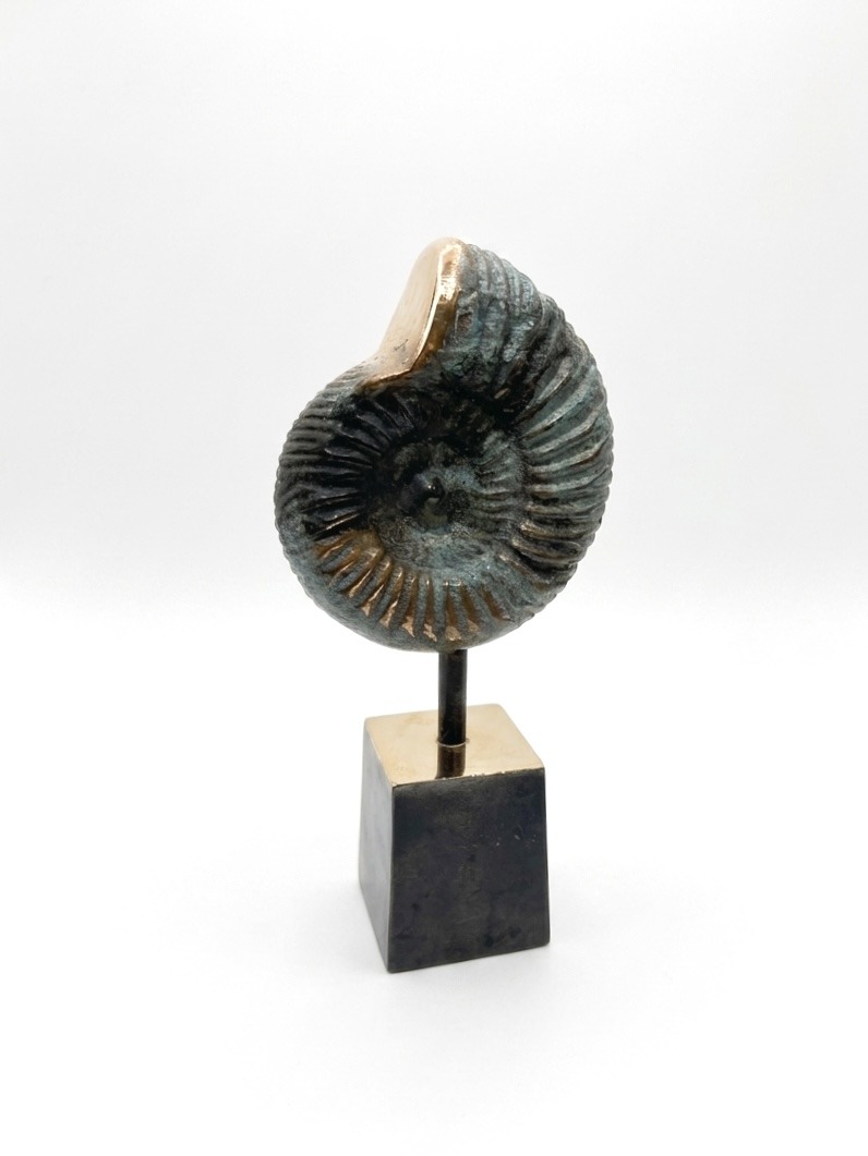 SEA-ART Nautilus - Billede 4