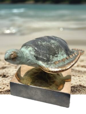 SEA-ART Havskildpadde - Unika, op til 8 eksemplarer