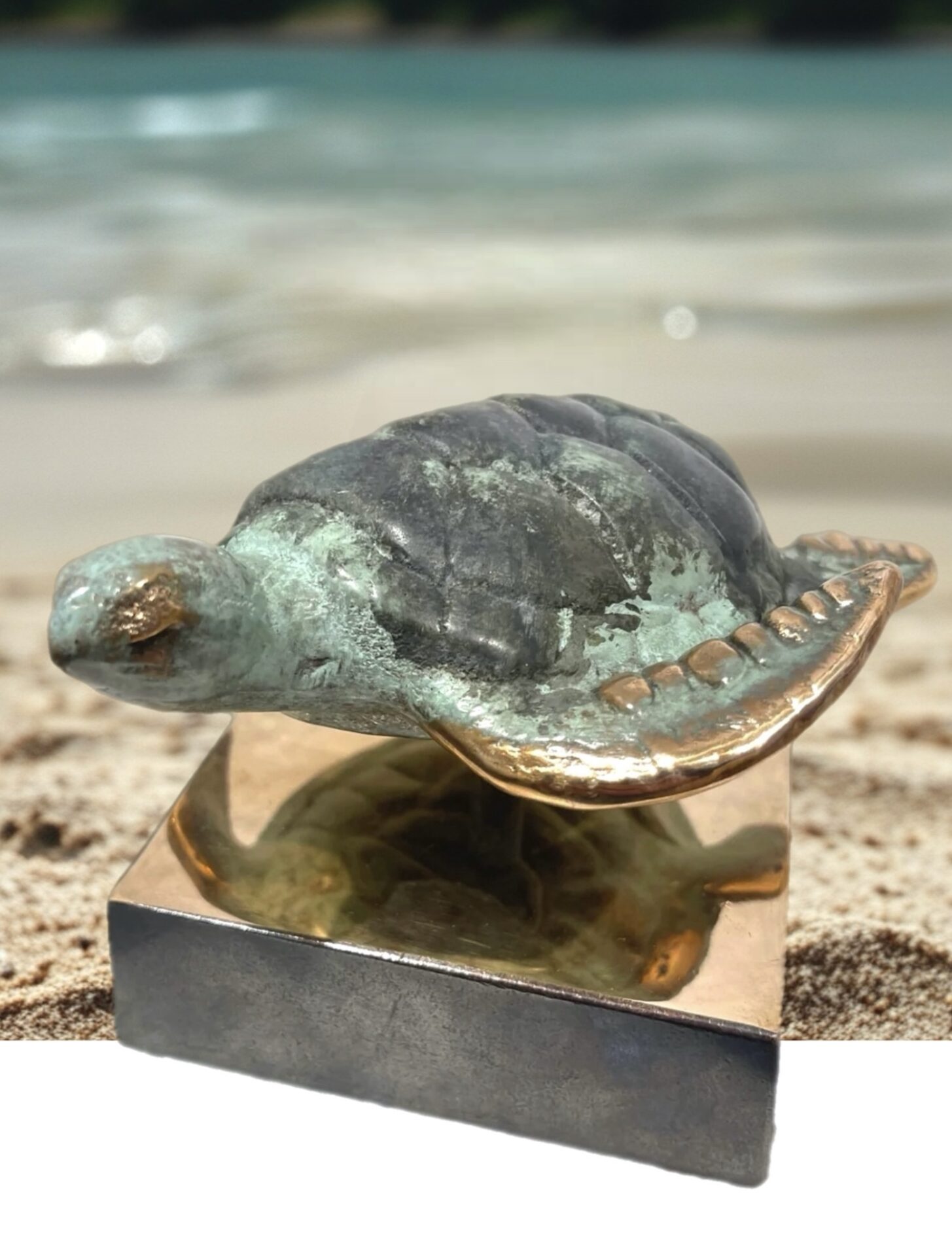 SEA-ART Havskildpadde - Unika, op til 8 eksemplarer