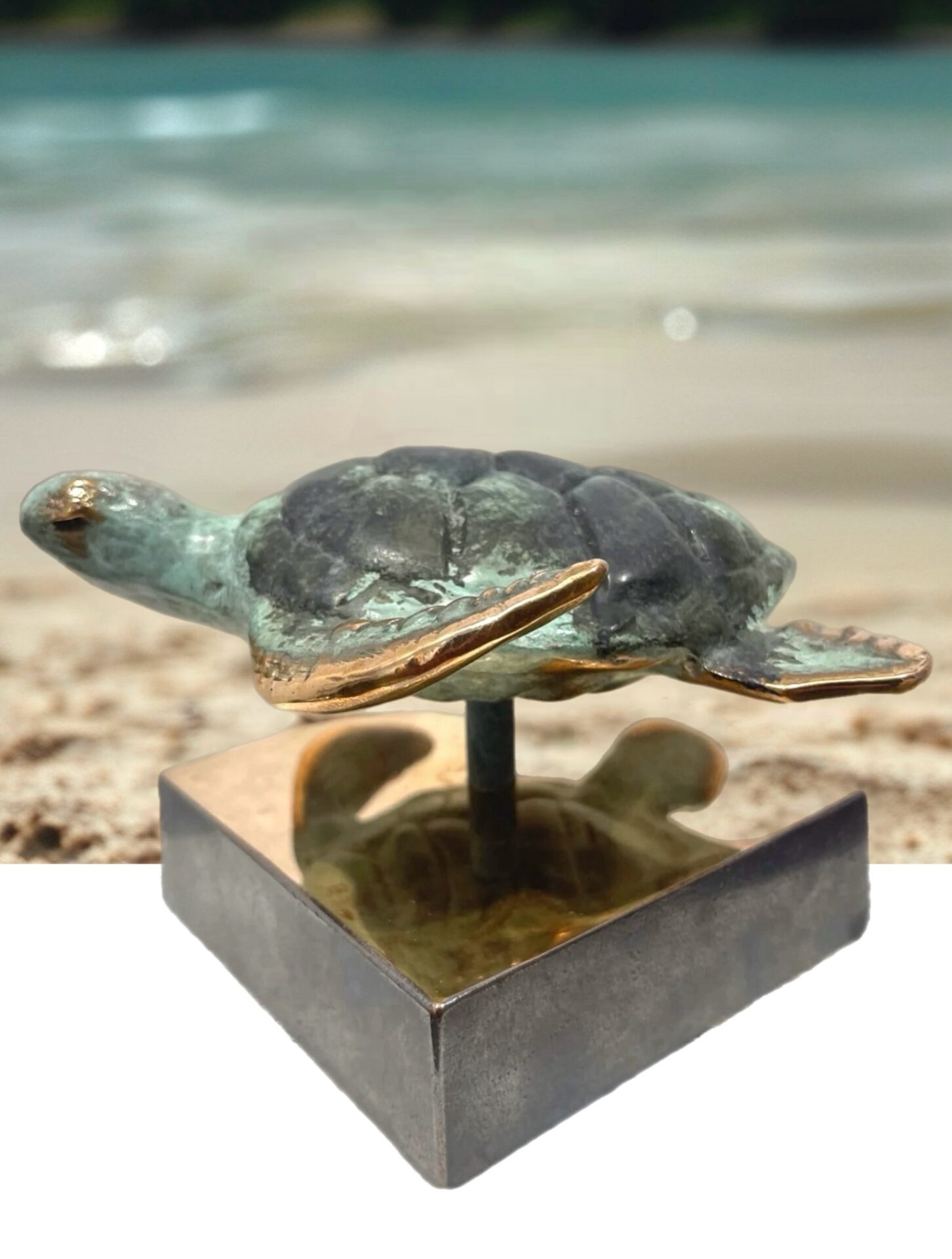 SEA-ART Havskildpadde - Unika, op til 8 eksemplarer - Billede 2