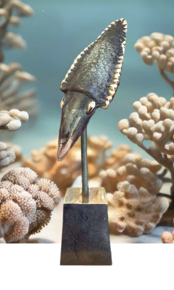 SEA-ART Cuttlefish - SOLGT - ny på vej